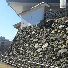 Hamamatsu Castle’s stone bases (Nozura-zumi)