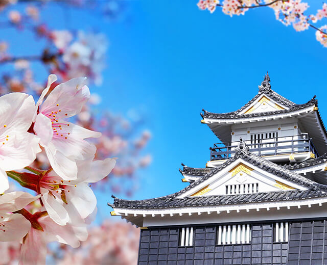 徳川300年の歴史を刻む出世城 浜松城