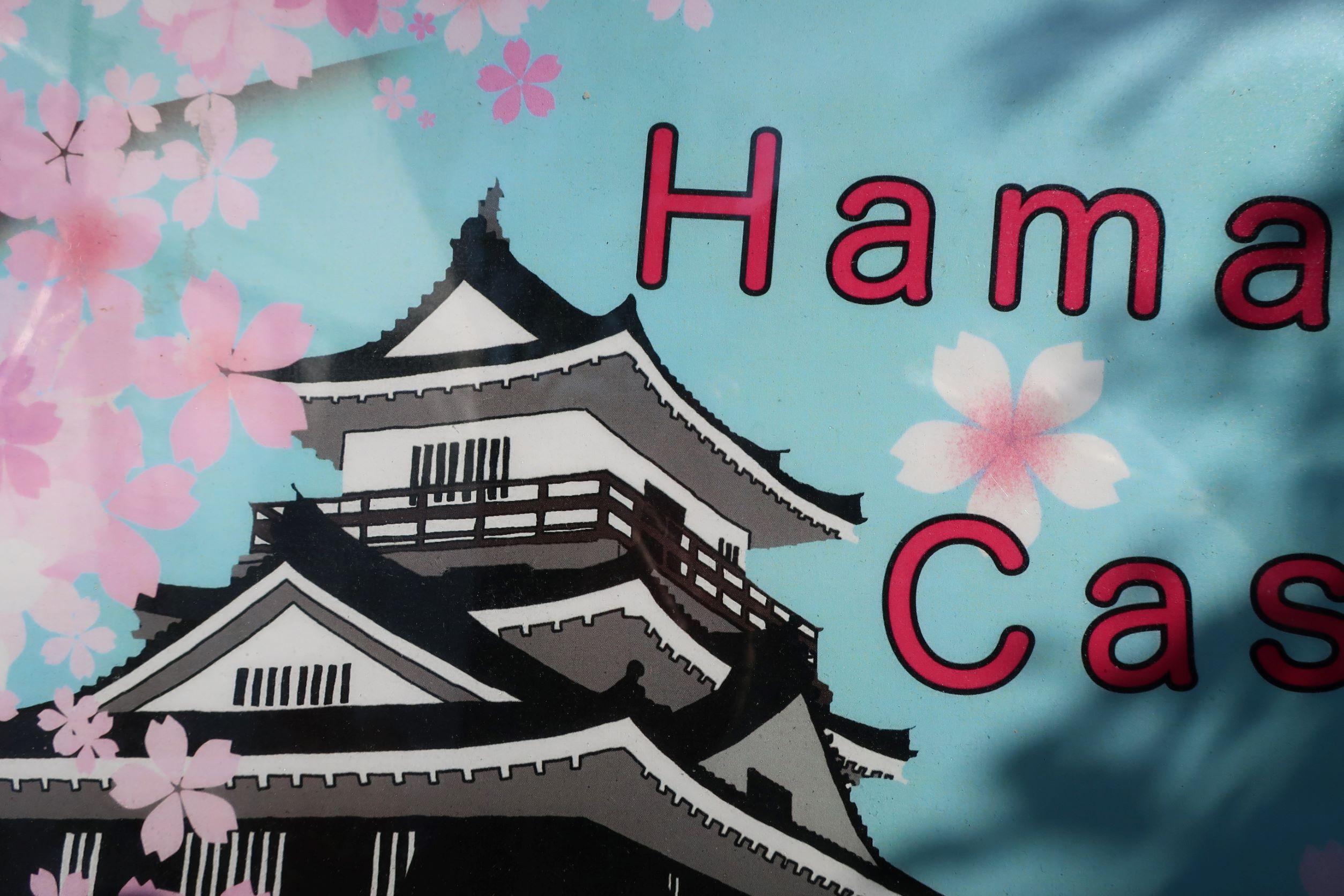 桜はそろそろ終わりですが 徳川300年の歴史を刻む出世城 浜松城