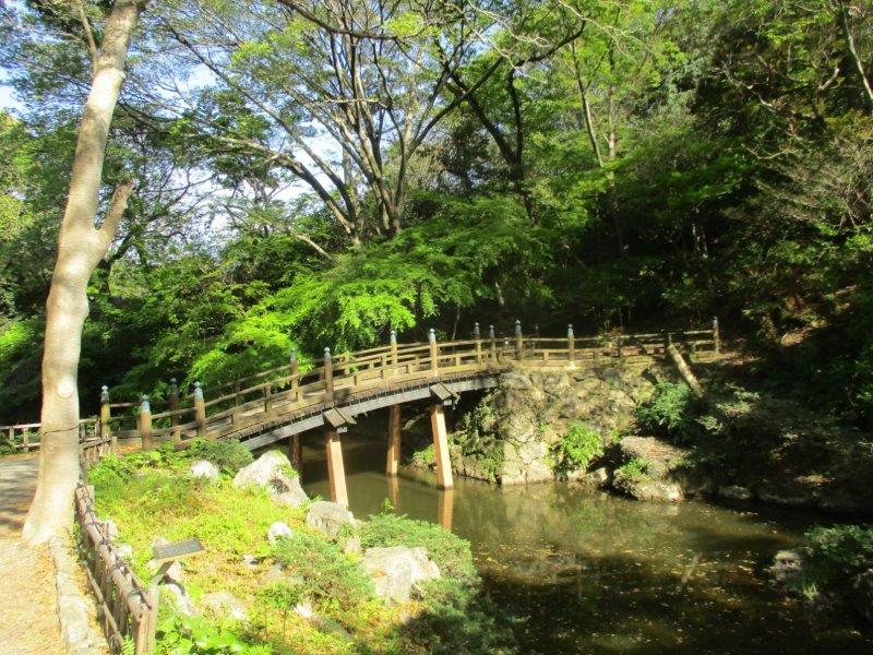 青紅葉」がいい具合いです 【公式】浜松城公園