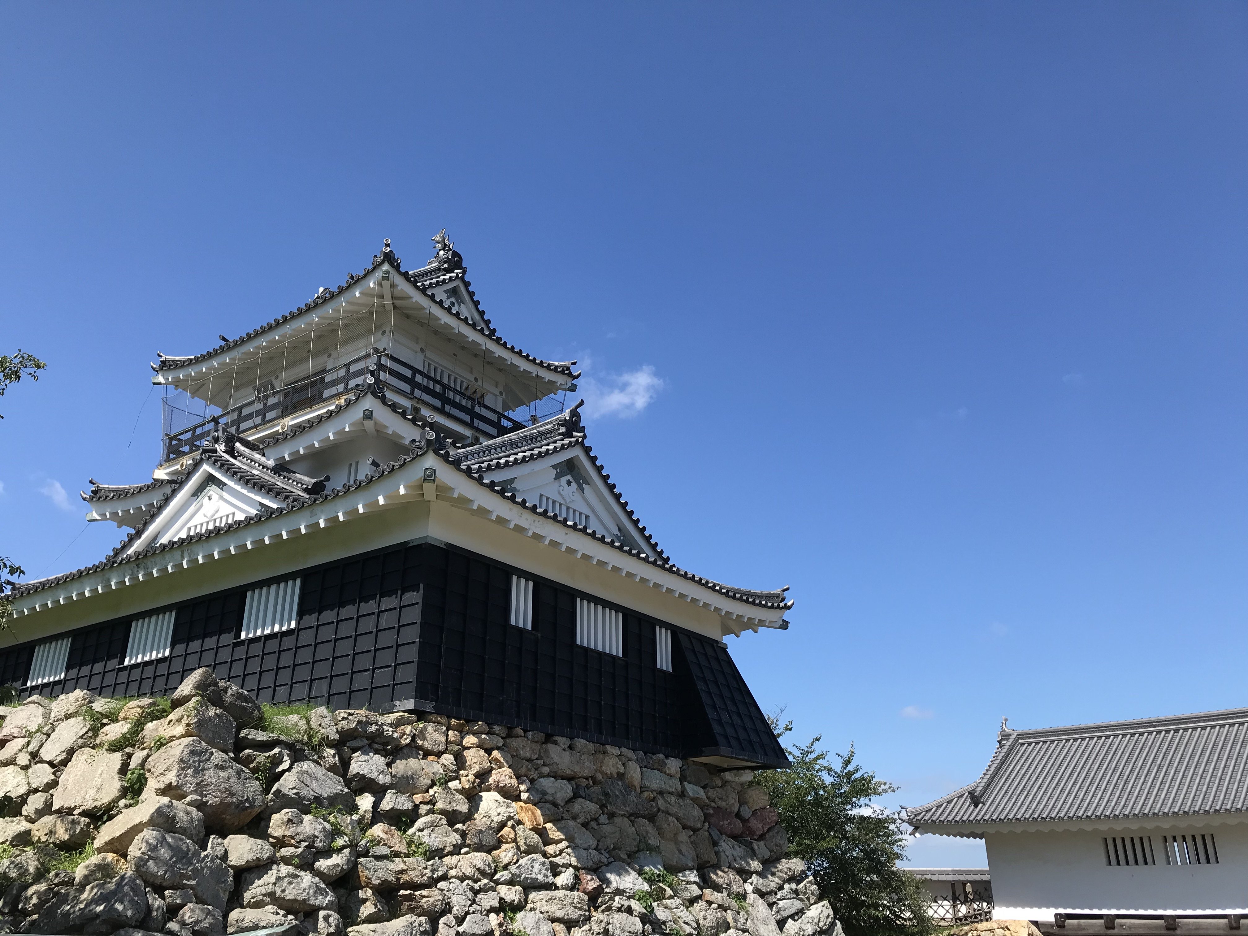 無料開放日 【公式】浜松城公園
