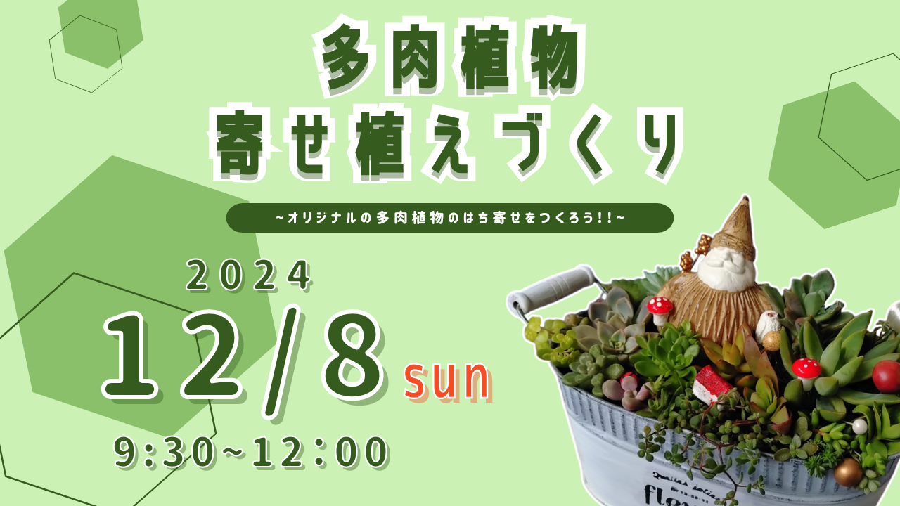 ◆◇◆多肉植物寄せ植えづくり◆◇◆