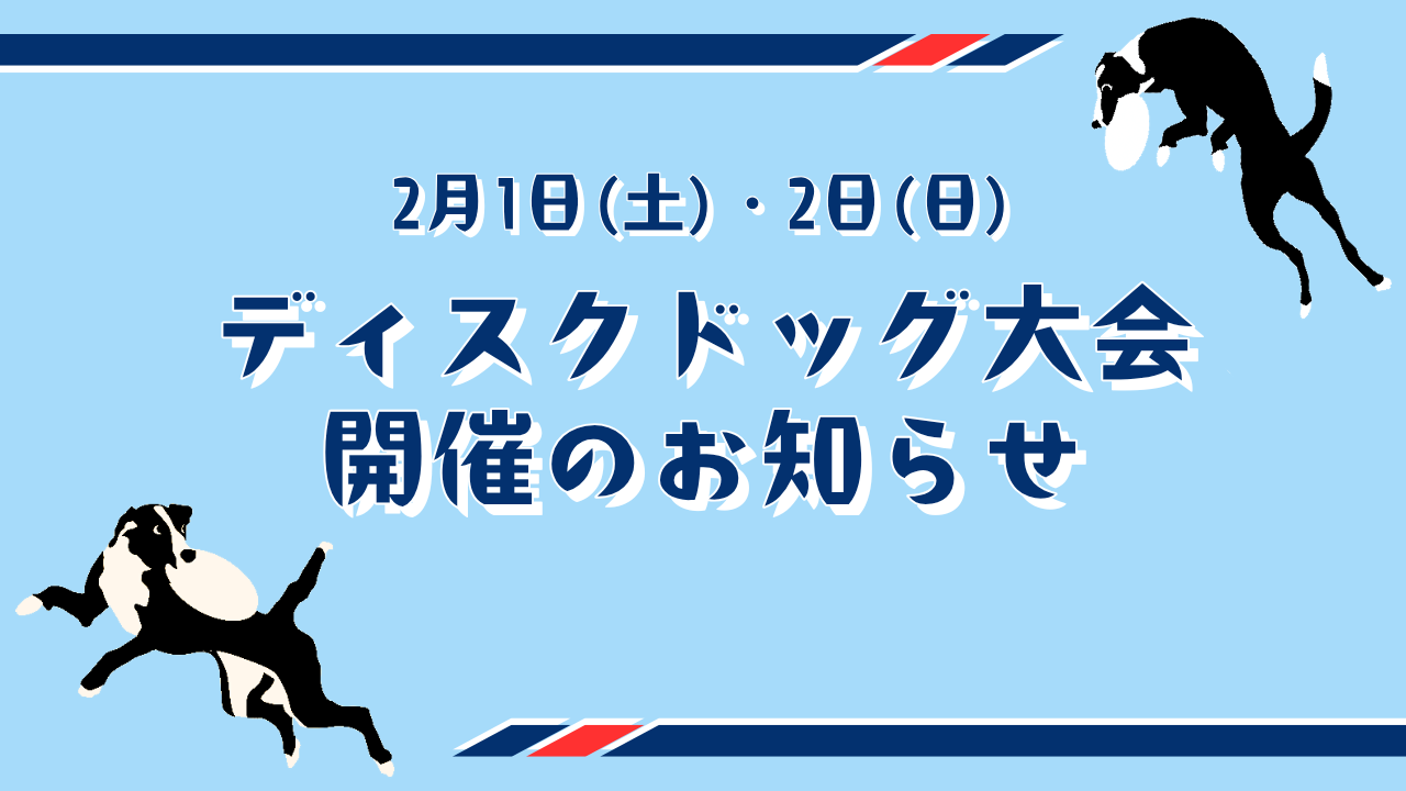 2/1・2/2【ディスクドッグ大会】開催!!