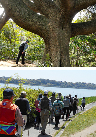 佐鳴湖公園とは 水と緑のオアシス 佐鳴湖公園