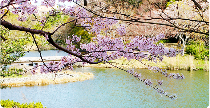 フォトギャラリー 水と緑のオアシス 佐鳴湖公園