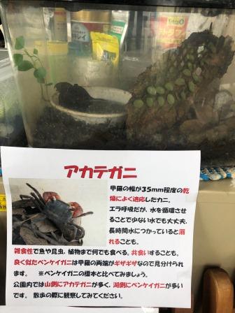 新着 お知らせ 水と緑のオアシス 佐鳴湖公園